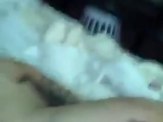 ShelbySum / orlando with some stripper