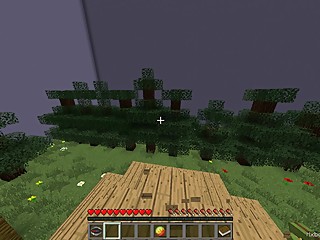 Vidéo de présentation MINECRAFT FR